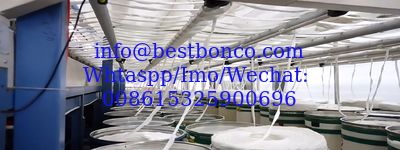 BESTBON CO., LTD. (CHINA)