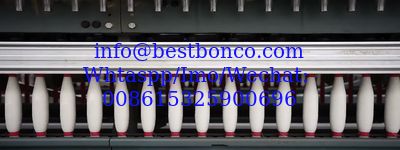 BESTBON CO., LTD. (CHINA)