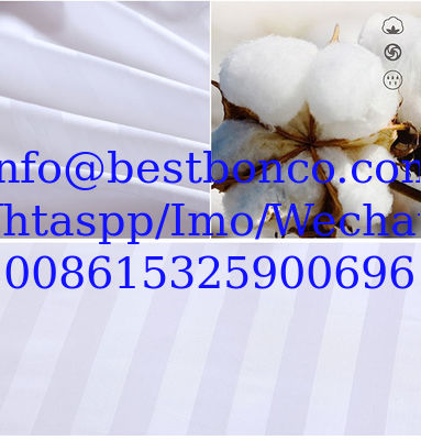 Hotel stripes sateen cotton white fabric highest quality smoth finishing