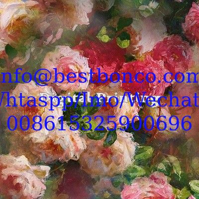 Spun polyester voile 3D Digital Printing super finishing quality Japanese Quality finishing fabrics for fashion