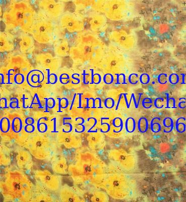 Spun Polyester Voile BBTSfinsh® Brand Body Golden Thread Digital printing Voile Super Full Twisted 58"