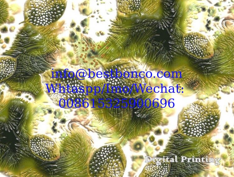 Spun polyester voile 3D Digital Printing super finishing quality Japanese Quality finishing fabrics for fashion